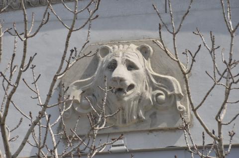 Барельеф льва на фронтоне здания художественного музея. Фото Владимир Чуйко.JPG