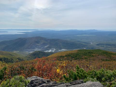 Майорская (1).jpeg