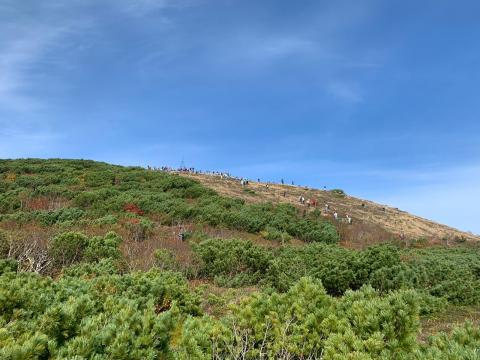 Майорская (2).jpeg