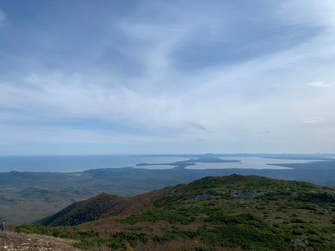 Майорская (3).jpeg