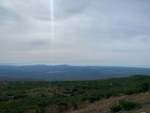 Майорская (4).jpeg