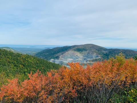 Майорская (5).jpeg