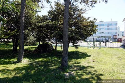 870_579_fixedwidth (2)_0.jpg