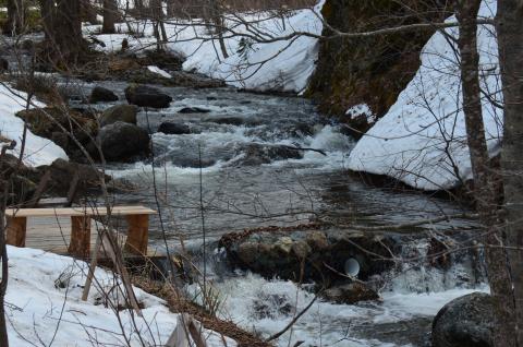 DSC_3997 (Фото Владимир Чуйко).jpg