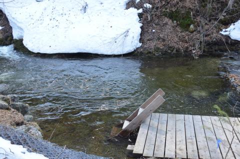 DSC_3999 (Фото Владимир Чуйко).jpg