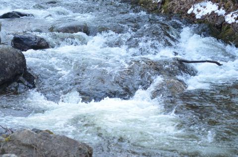 DSC_4000 (Фото Владимир Чуйко).jpg