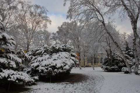 DSC_6537 (Фото Владимир Чуйко).jpg