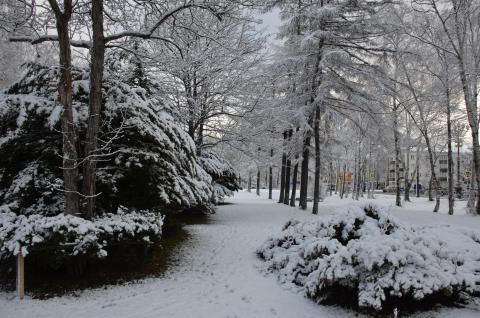 DSC_6540 (Фото Владимир Чуйко).jpg