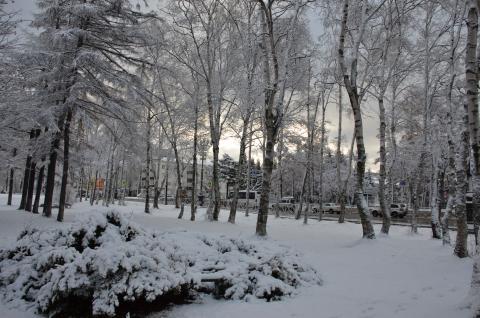 DSC_6541 (Фото Владимир Чуйко).jpg