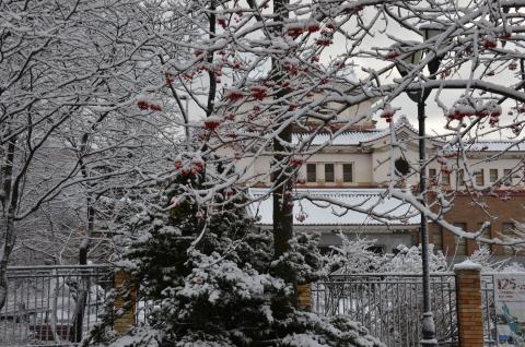 DSC_6544 (Фото Владимир Чуйко)_1.jpg