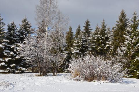 DSC_6623 (Фото Владимир Чуйко).jpg