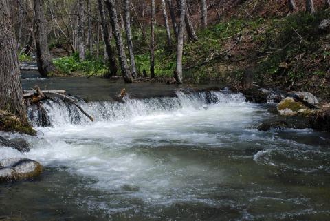 DSC_8453 (Фото Владимир Чуйко).JPG