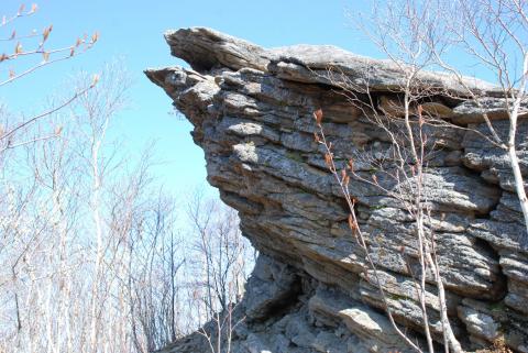 DSC_8508 (Фото Владимир Чуйко).jpg