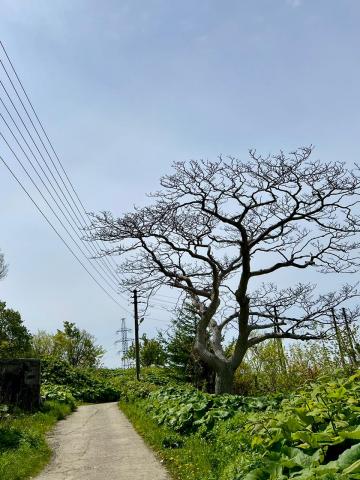 WhatsApp Image 2024-06-14 at 11.17.11 (1).jpeg