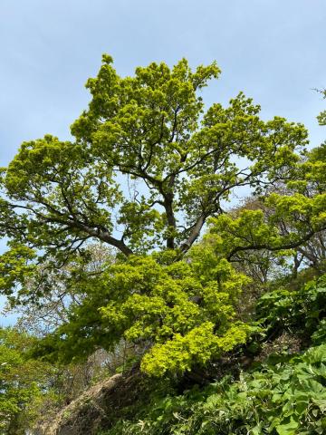 WhatsApp Image 2024-06-14 at 11.17.13.jpeg