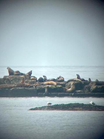 WhatsApp Image 2024-06-14 at 11.17.14 (1).jpeg